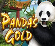 Panda`s Gold